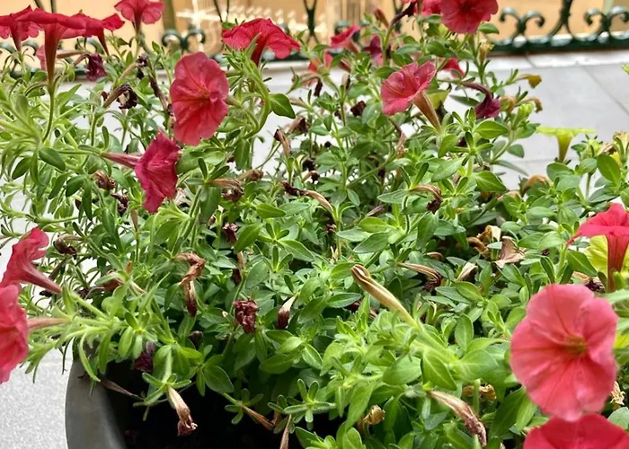 Oltre Il Blu Специя